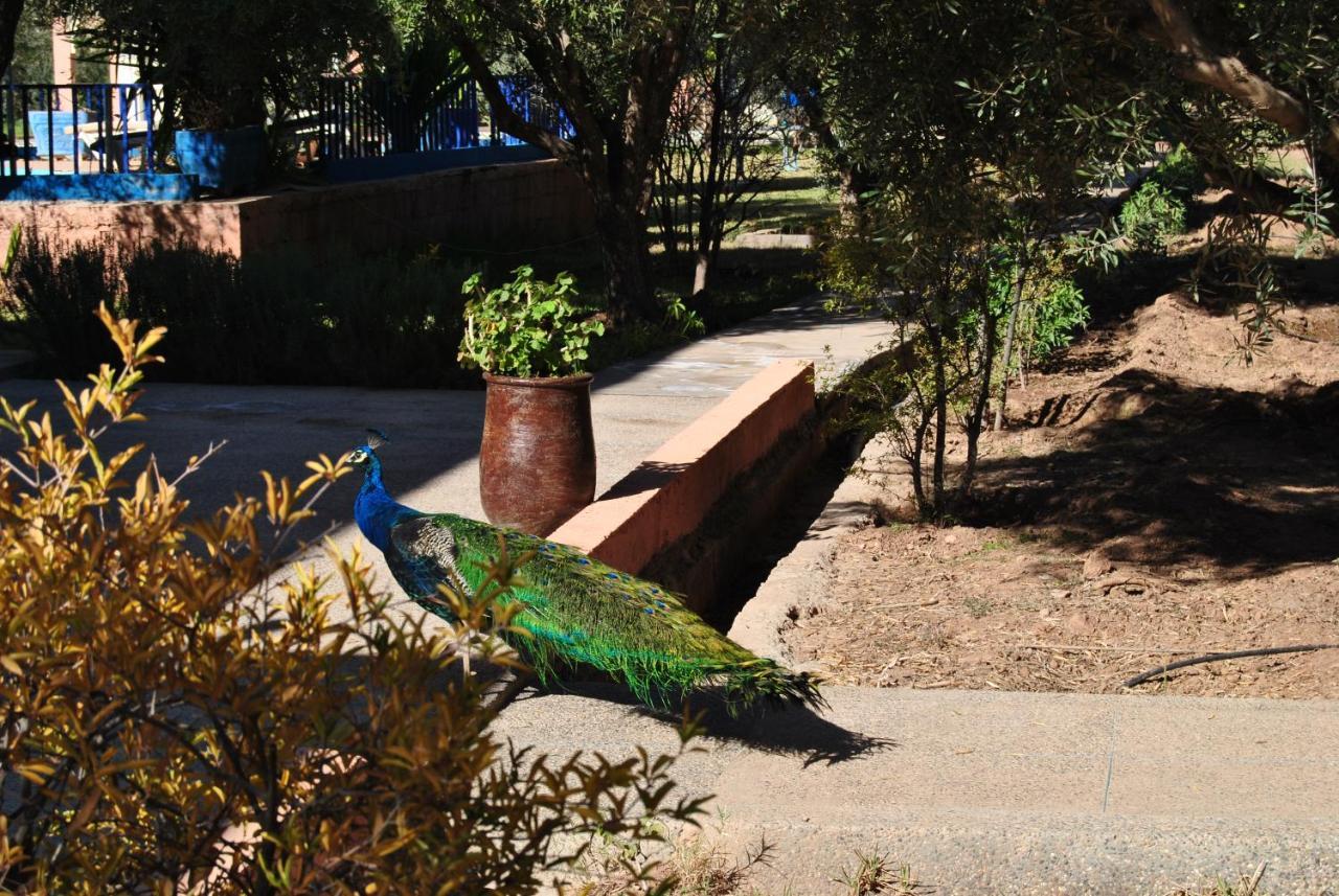 Guest House Qodwa Sidi Abdallah Ghiat ภายนอก รูปภาพ